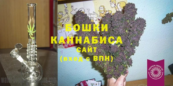 сатива Володарск