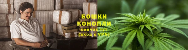 эйфоретик Вяземский