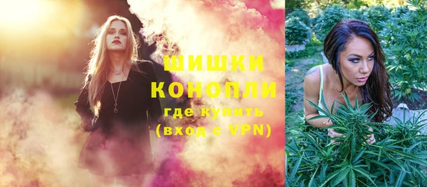 эйфоретик Вяземский