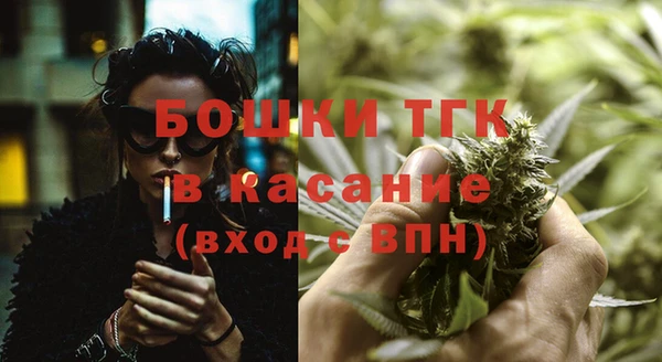 эйфоретик Вяземский