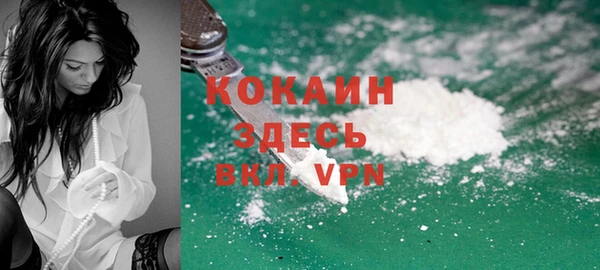 эйфоретик Вяземский